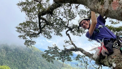 Panama field work 2024 featured image