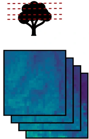 3D Microclimate Ecology and Biogeography featured image