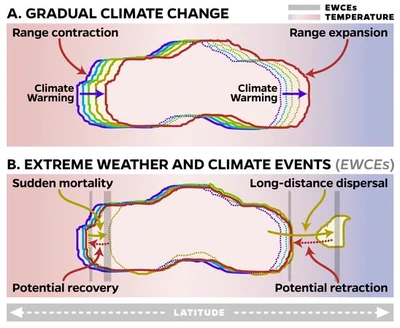 Extreme Events featured image